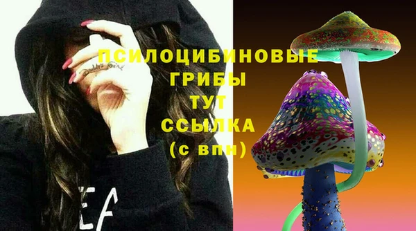 бошки Балахна