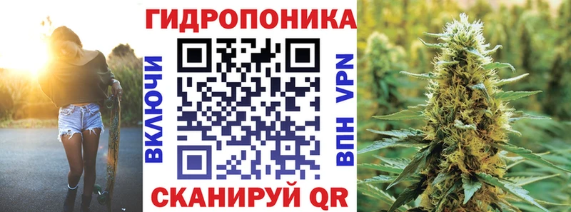закладка  Белая Холуница  Марихуана VHQ 